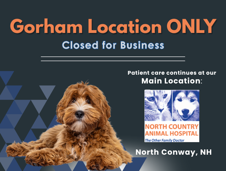 Important Announcement: Our Gorham Location Is Now Closed